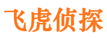 巨野出轨调查